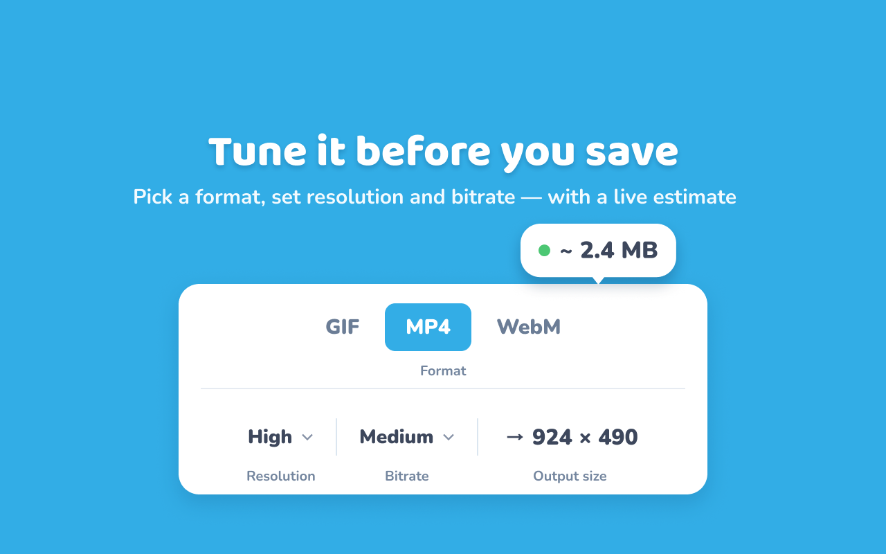 The save panel with GIF, MP4 and WebM format tabs, resolution and bitrate pickers, and a live 2.4 MB size estimate.